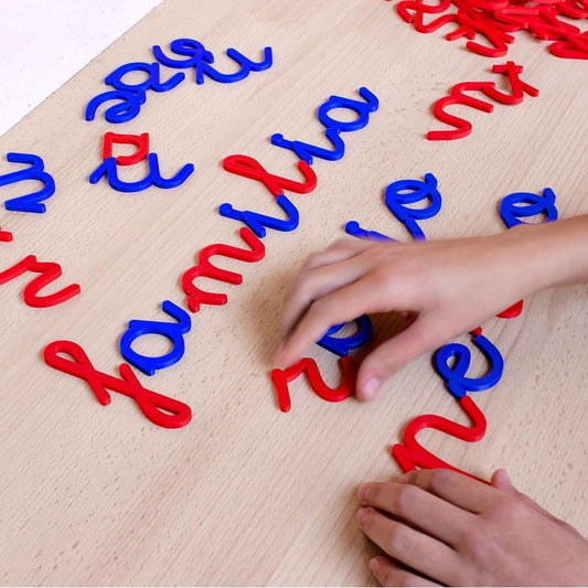 MFS MYFUTURSHOP Letras Montessori, Alfabeto Escolar Minusculas. Aprende A Leer Y Escribir Divirtiendote. Abecedario Educativo para Niños De 3 4 5 Y 6 Años.