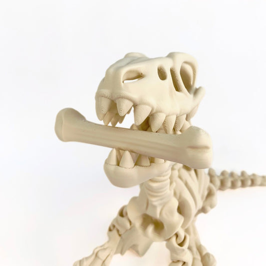 🦖 Esqueleto de Velociraptor – Juguete educativo y mágico en 3D