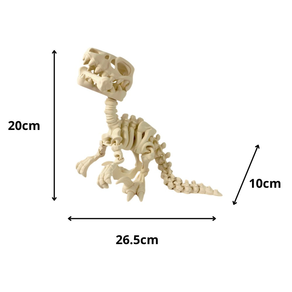 🦖 Esqueleto de Velociraptor – Juguete educativo y mágico en 3D