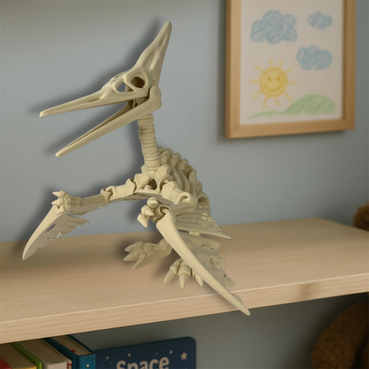 🦕🪽 Esqueleto de Pterodáctilo – Un viajero del cielo… directo desde la prehistoria