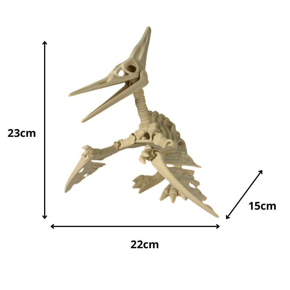 🦕🪽 Esqueleto de Pterodáctilo – Un viajero del cielo… directo desde la prehistoria
