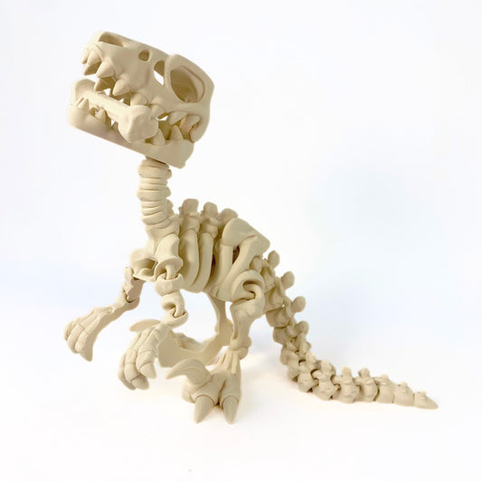 🦖 Esqueleto de Velociraptor – Juguete educativo y mágico en 3D