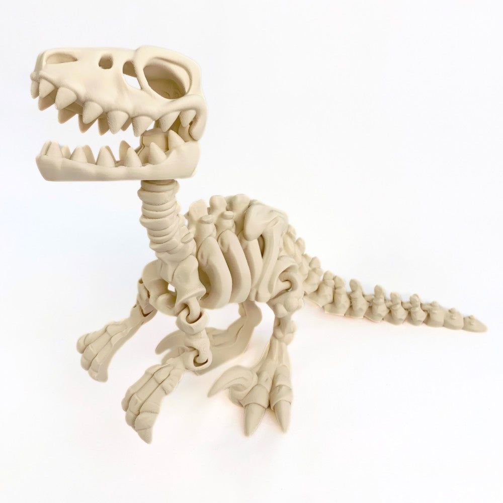 🦖 Esqueleto de Velociraptor – Juguete educativo y mágico en 3D