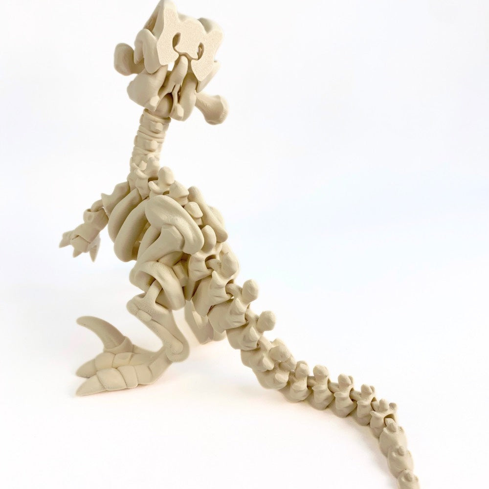 🦖 Esqueleto de Velociraptor – Juguete educativo y mágico en 3D