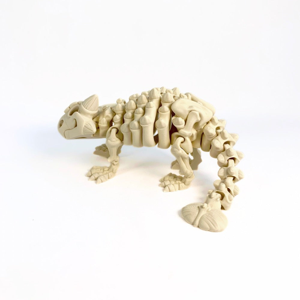 🦕 Esqueleto de Anquilosaurio – Una armadura prehistórica llena de magia