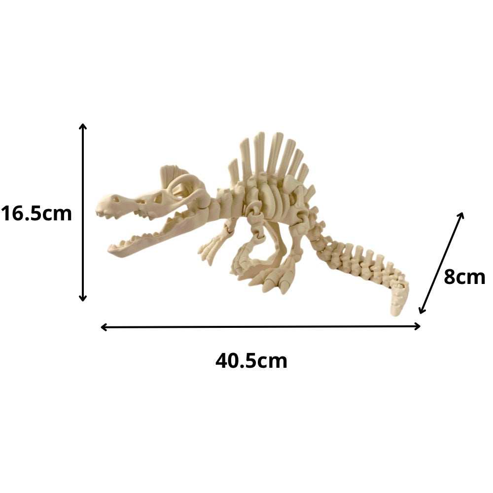 🦖 Esqueleto de Espinosaurio – Un dinosaurio con cresta... ¡y mucha magia!