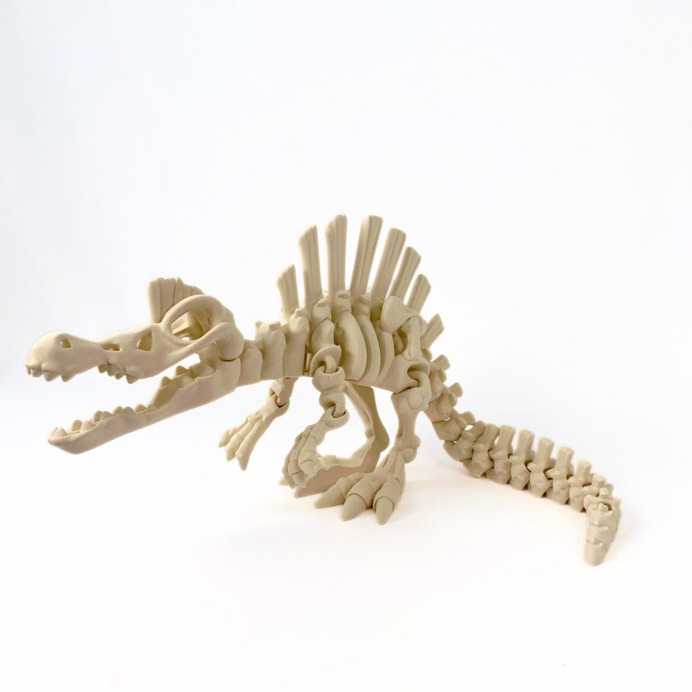 🦖 Esqueleto de Espinosaurio – Un dinosaurio con cresta... ¡y mucha magia!