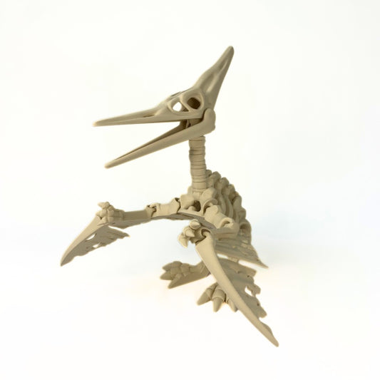 🦕🪽 Esqueleto de Pterodáctilo – Un viajero del cielo… directo desde la prehistoria