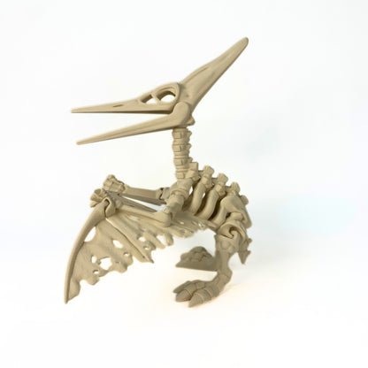 🦕🪽 Esqueleto de Pterodáctilo – Un viajero del cielo… directo desde la prehistoria