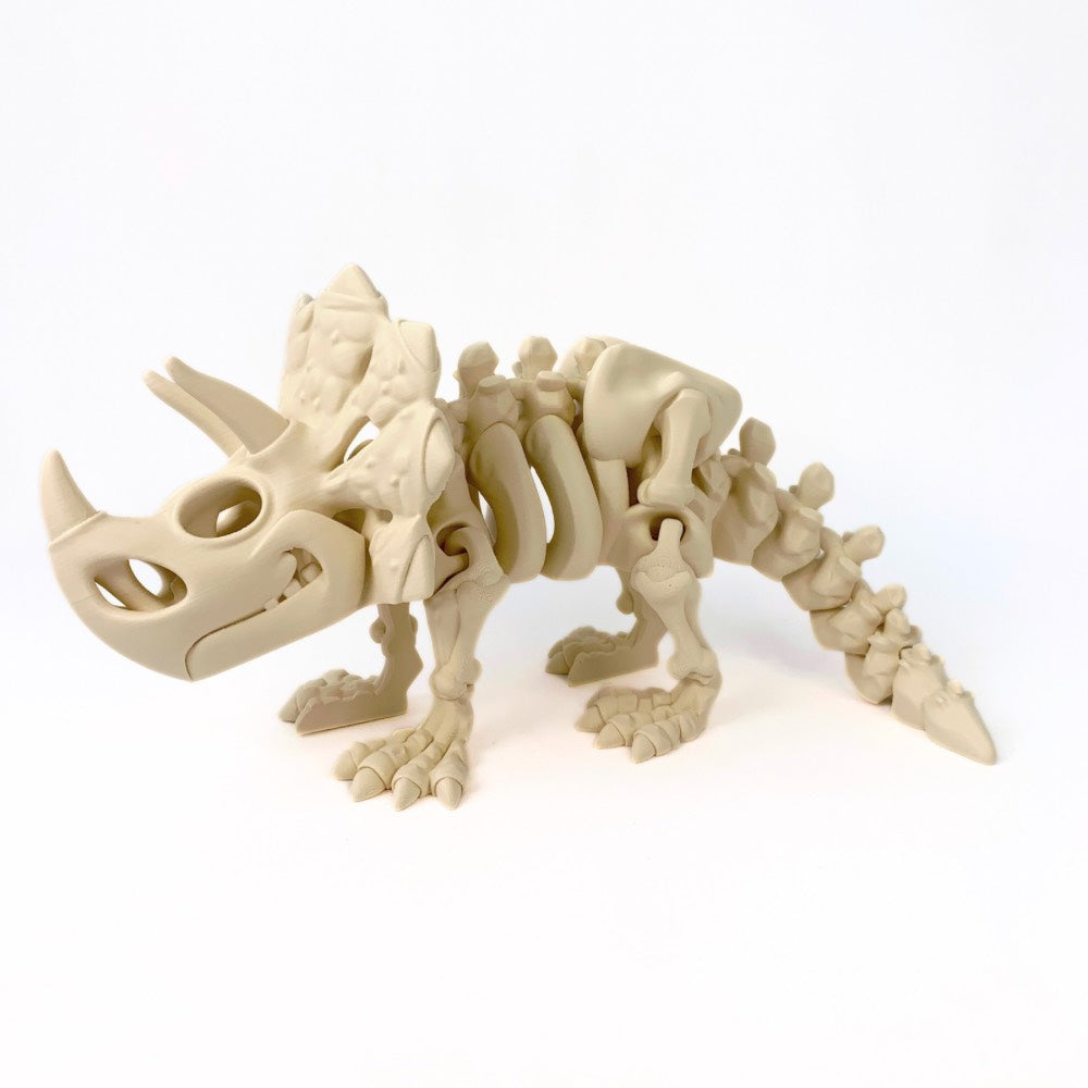 Triceratops esqueleto 3D – Dinosaurio educativo para