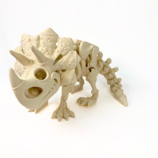 Triceratops esqueleto 3D – Dinosaurio educativo para