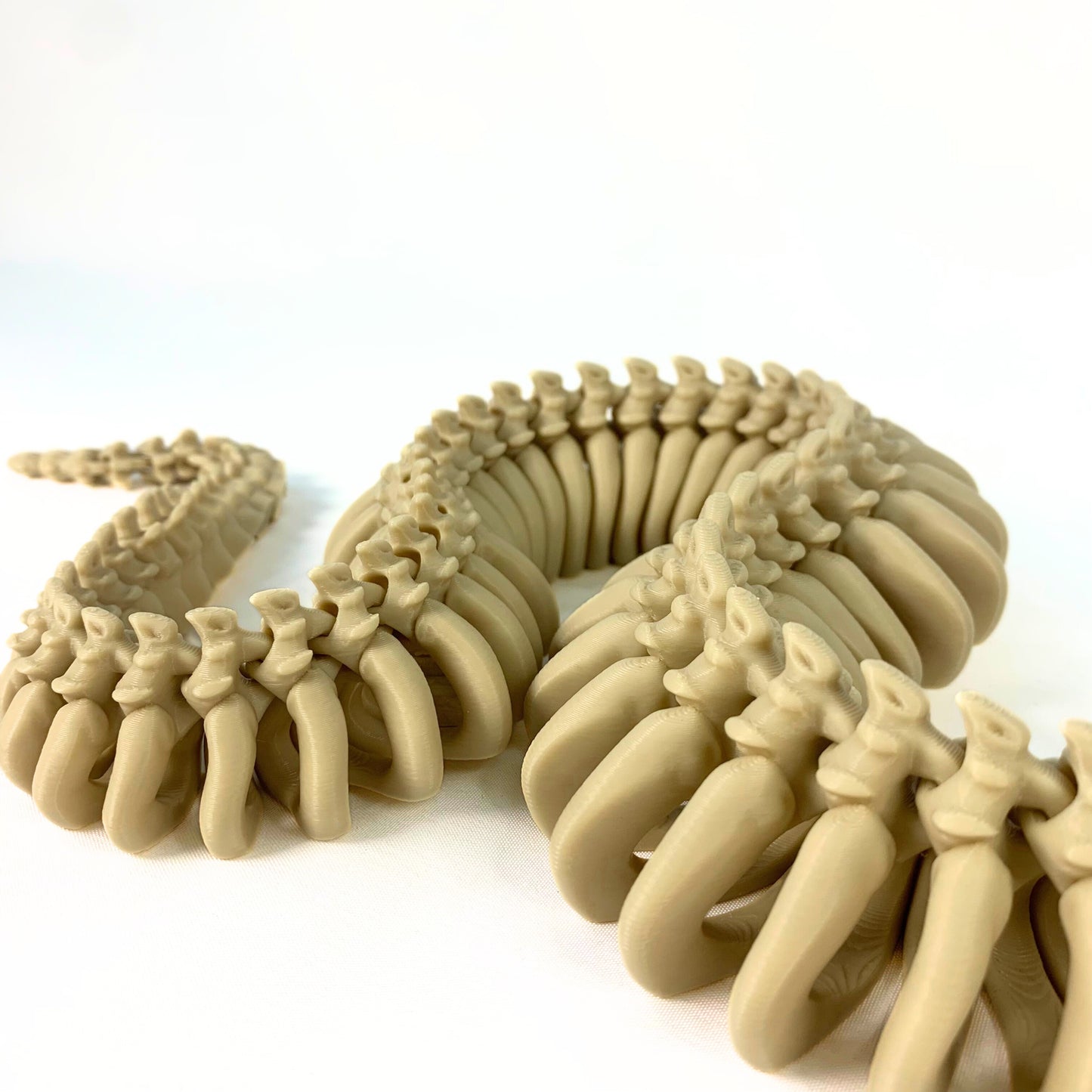 🐍 Esqueleto de Serpiente articulado – 75 cm de magia prehistórica para aprender y jugar